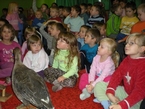 Starostlivosť o zvieratká v zime
