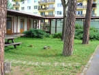 škôlka