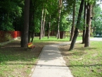 škôlka